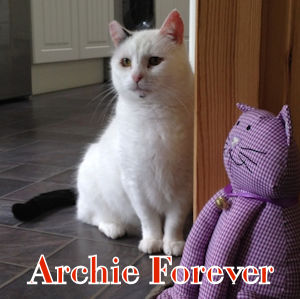 Archie Forever