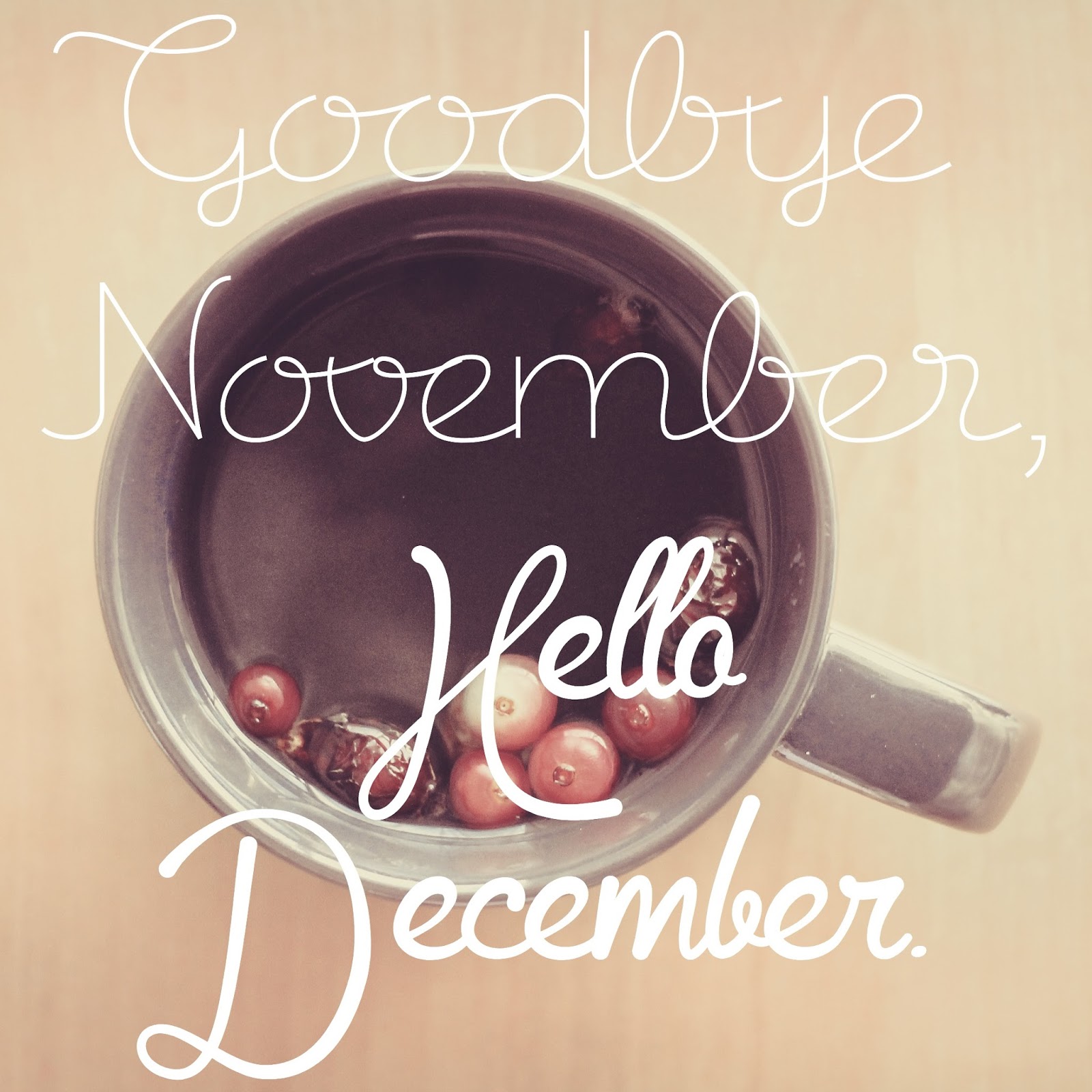 Goodbye November, Hello December. | The girl who loved to write about life.