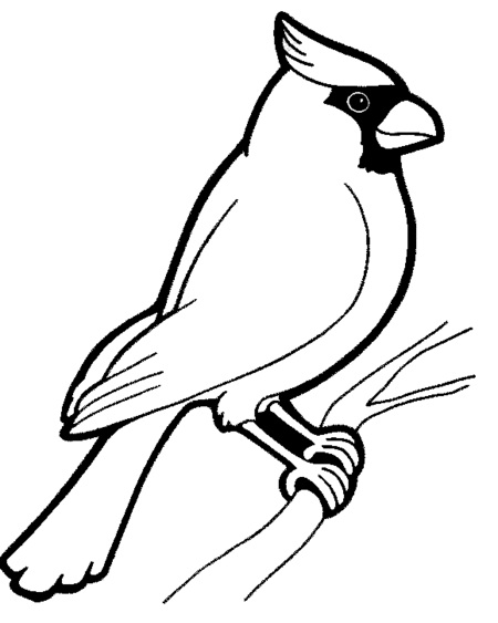 home bird coloring pages bird coloring pages for kids title=
