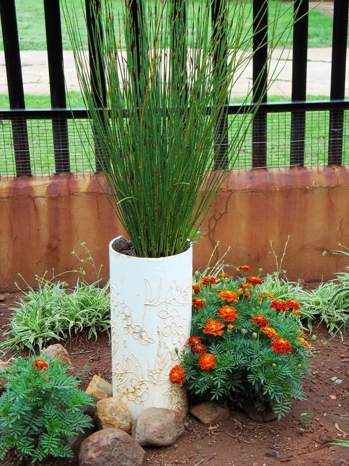 Gardening in Africa Ornamental grasses in the garden
