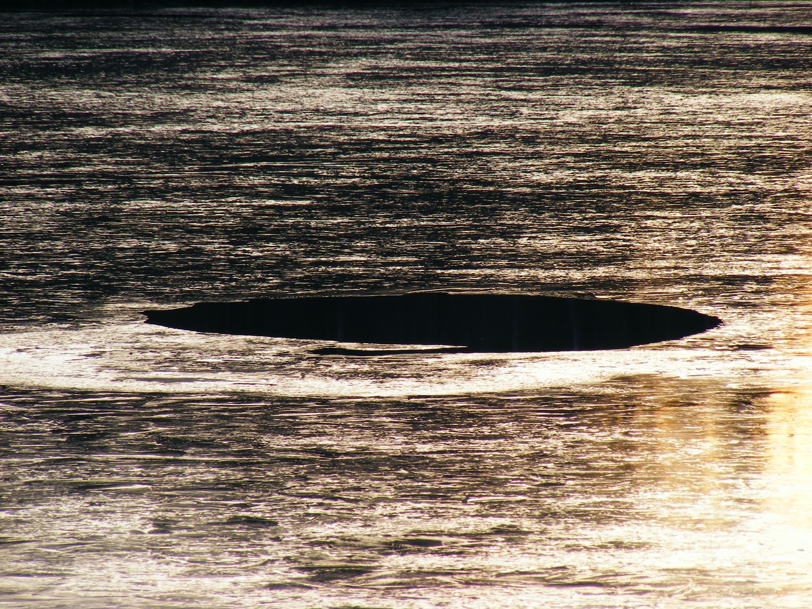 Mit 8 Megapixeln durch die Niederlausitz