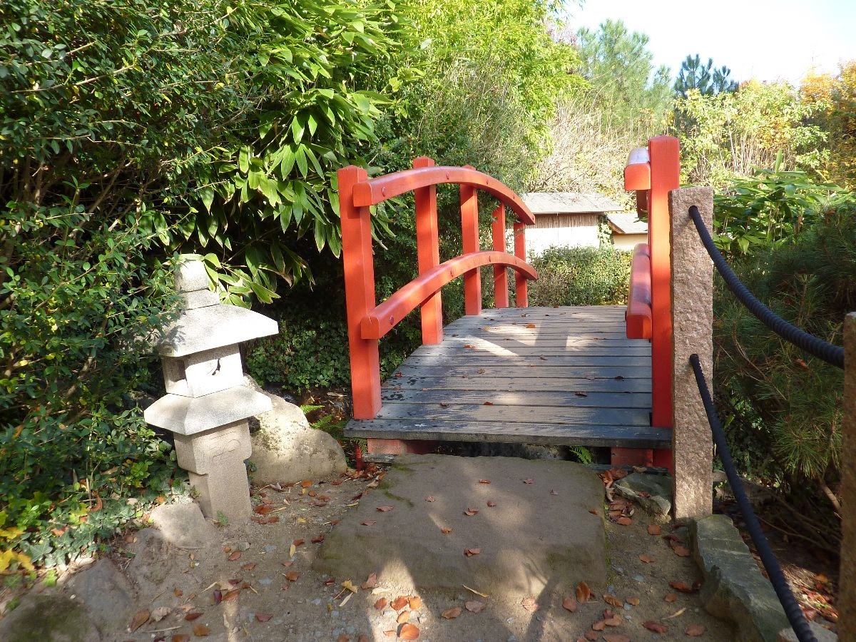 Bonsai Gemeinschaft Die Saison Beginnt Im Japanische Garten
