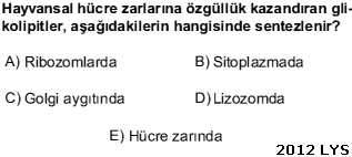 Hucrenin Yapisi Hucre Ile Ilgili Ygs Lys Cikmis Sorular