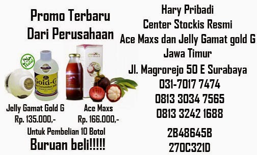 promo ace maxs dan jelly gamat gold g di surabaya promo ace maxs dan jelly gamat gold g di surabaya