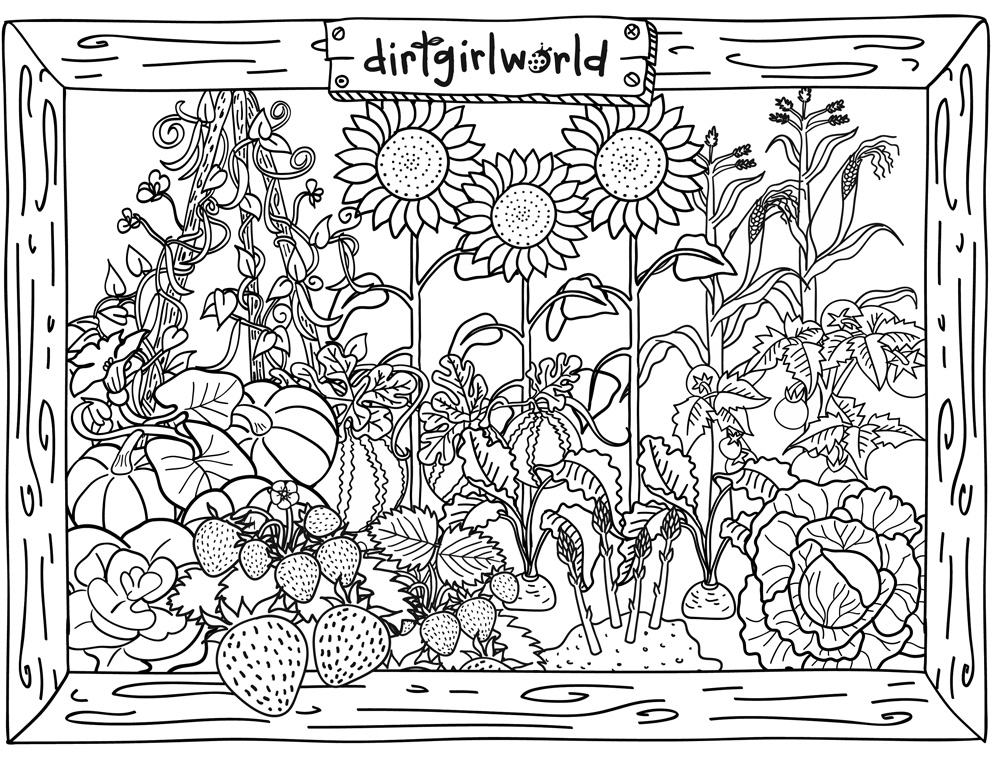Colouring Pages Garden