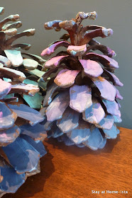 Ombre painted pinecones