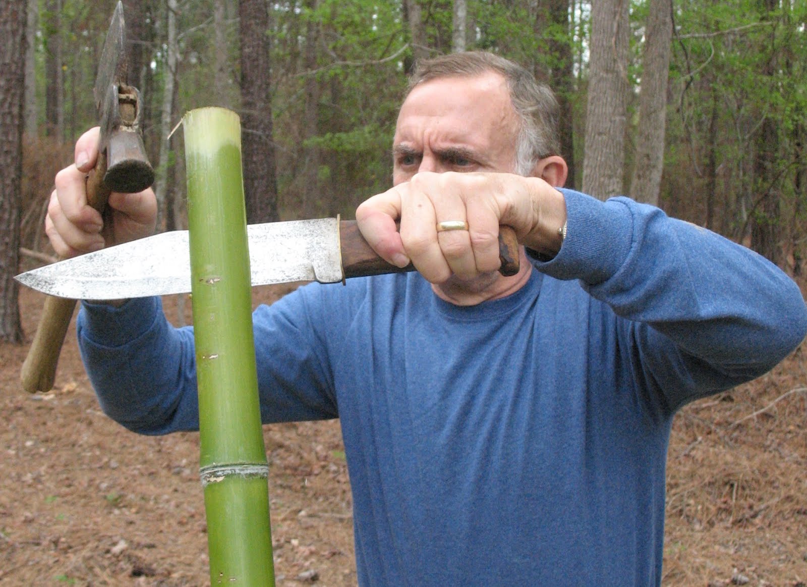 Sensible Survival Build a Bamboo Survival Bow in 30 Minutes