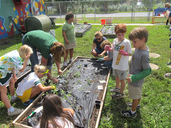 Planting Vegetables in Our Garden