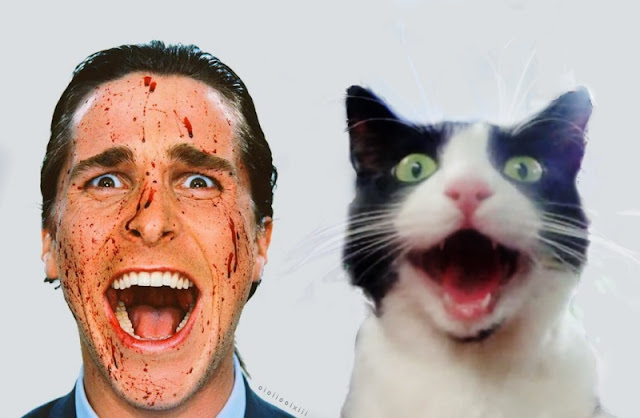 Image of Christian Bale in a promo for American Psycho, alongside a cat with similar expression.