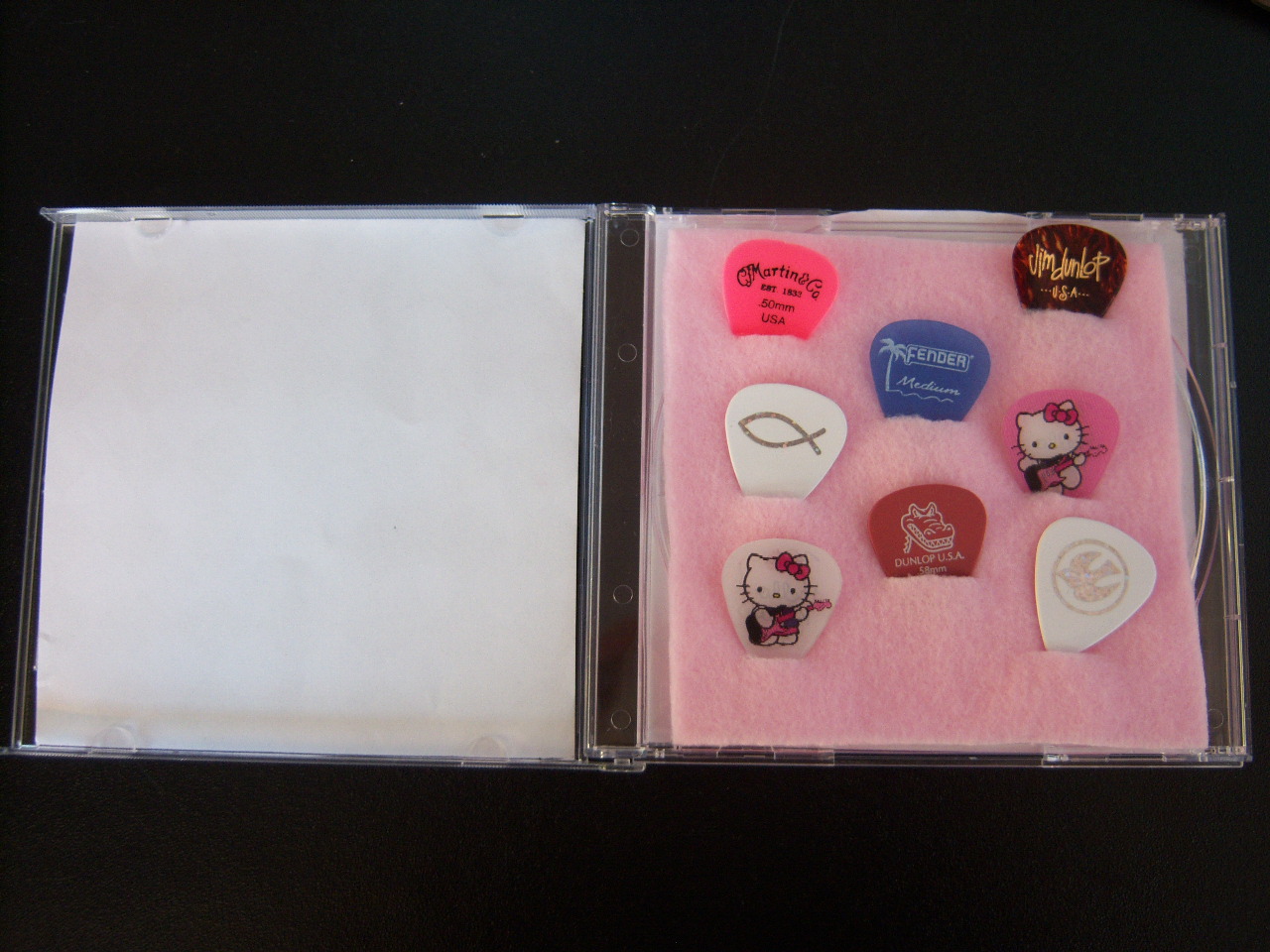 Sew Much Class & Crafty, too DIY Guitar Pick Travel Case