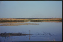 El Baix Vinalopó