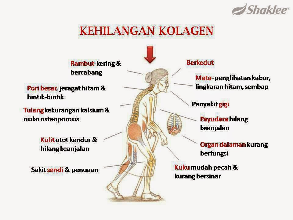 Shaklee Collagen Powder dicipta Daripada Sisik Ikan Merah. COLLAGEN POWDER SHAKLEE
