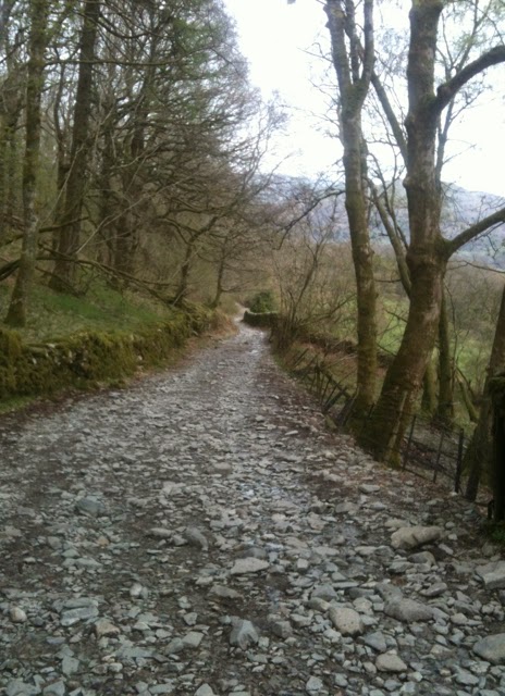 Track down to Elterwater