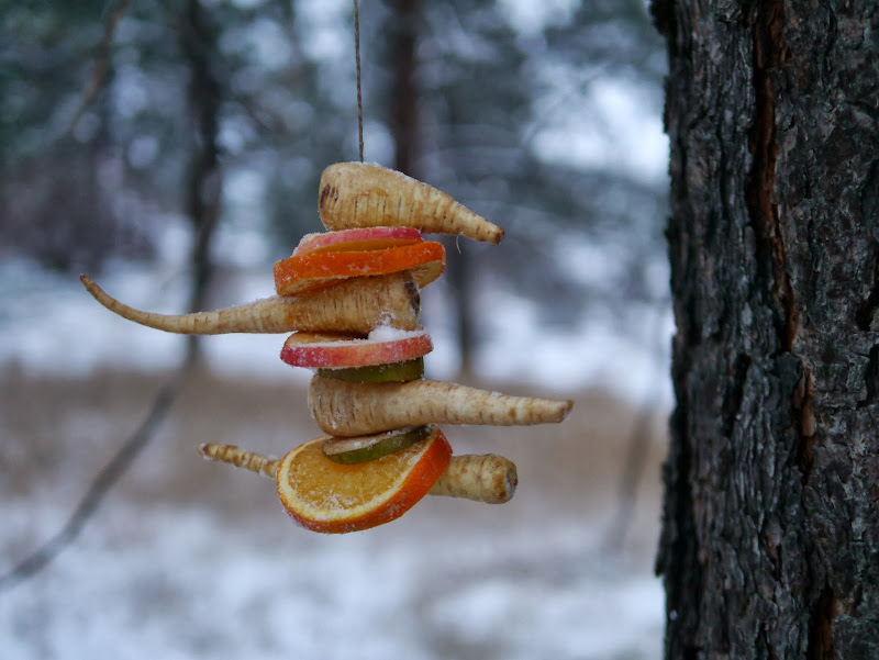 Mulled Wine by Josée Bergeron the Backwoods Mama