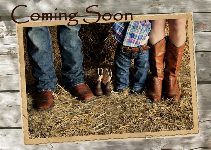 Erin Stevenson Photography Pregnancy Announcement