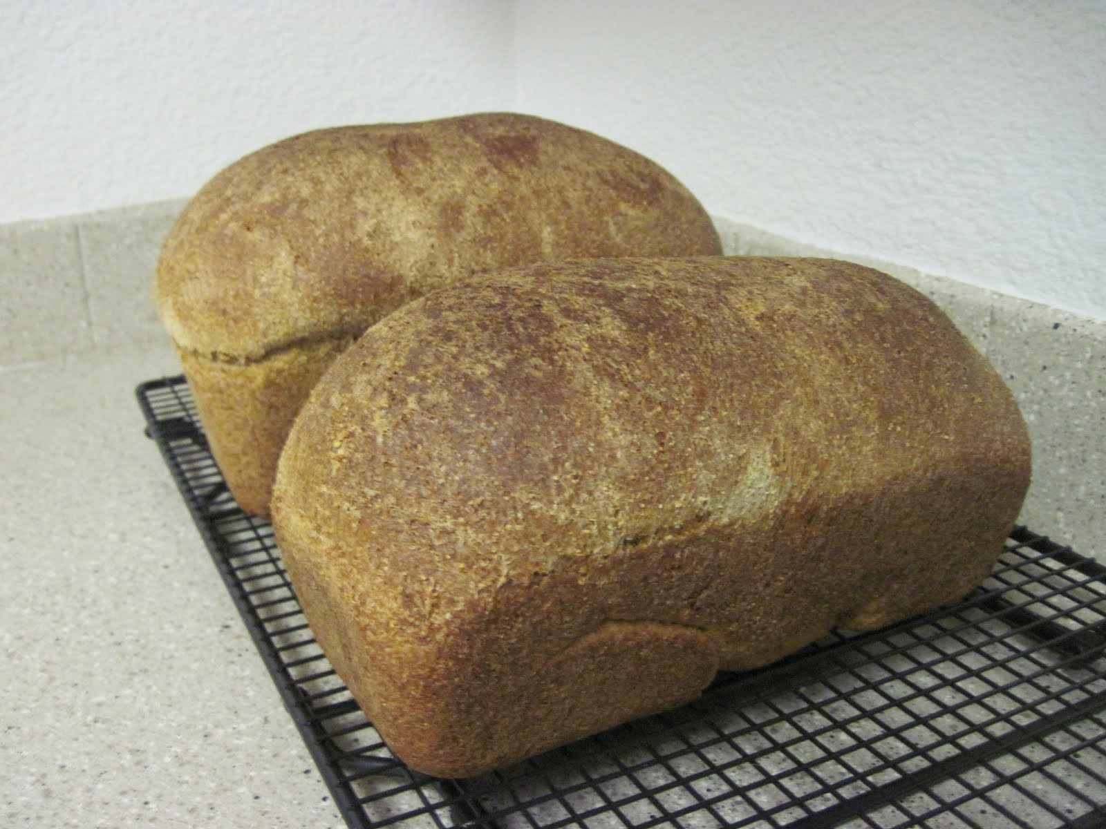 Reimer Recipes Molasses Cornmeal Bread (Anadama Bread)