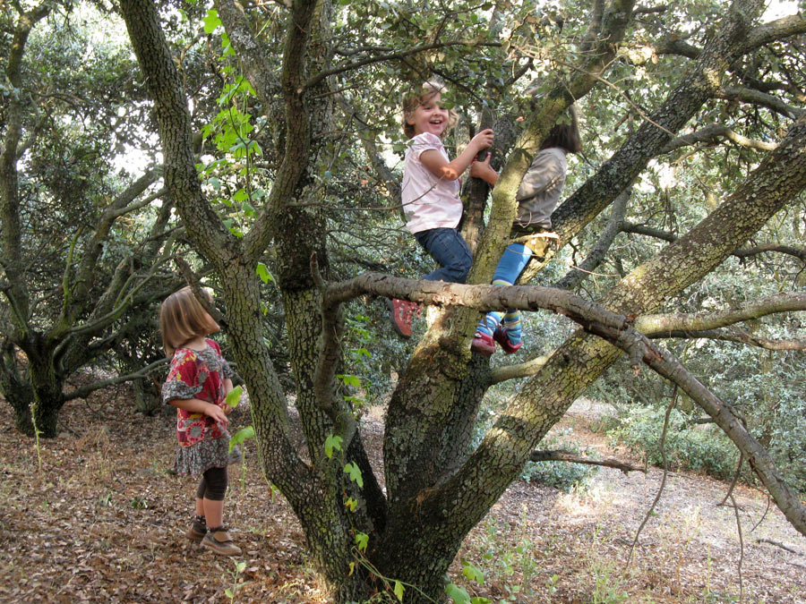 Una Infancia Nueva Bosque Escuelas
