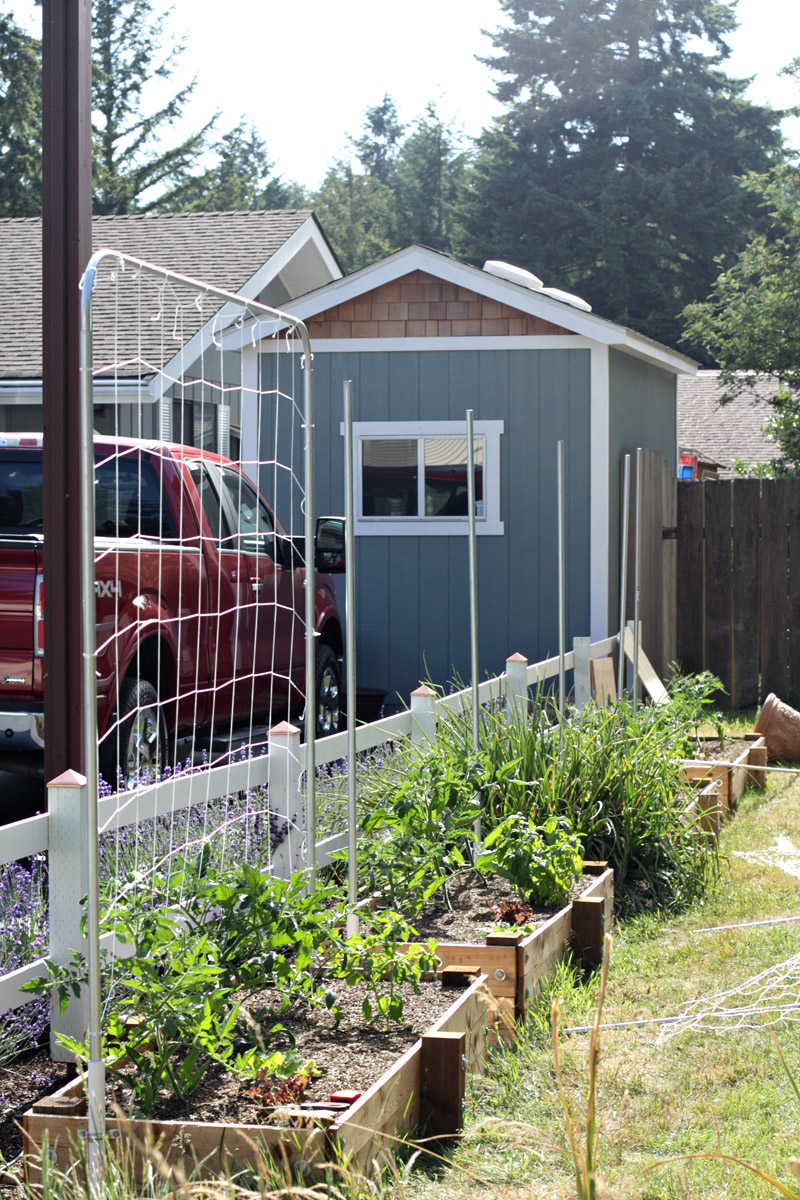 "We do it the Hard Way" Conduit Trellis Frames