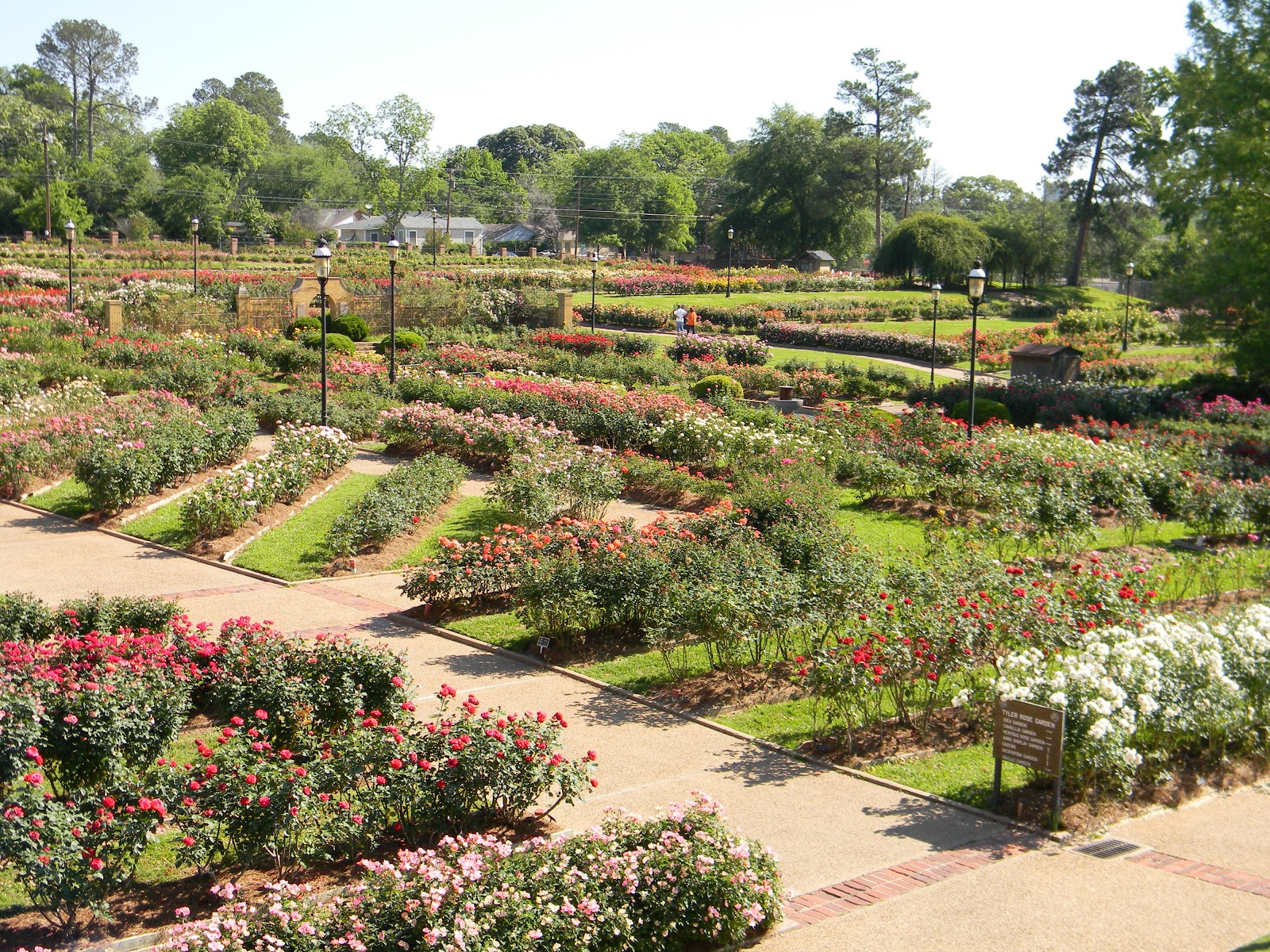 RVFulltimingLove Rose Garden, Tyler, Tx