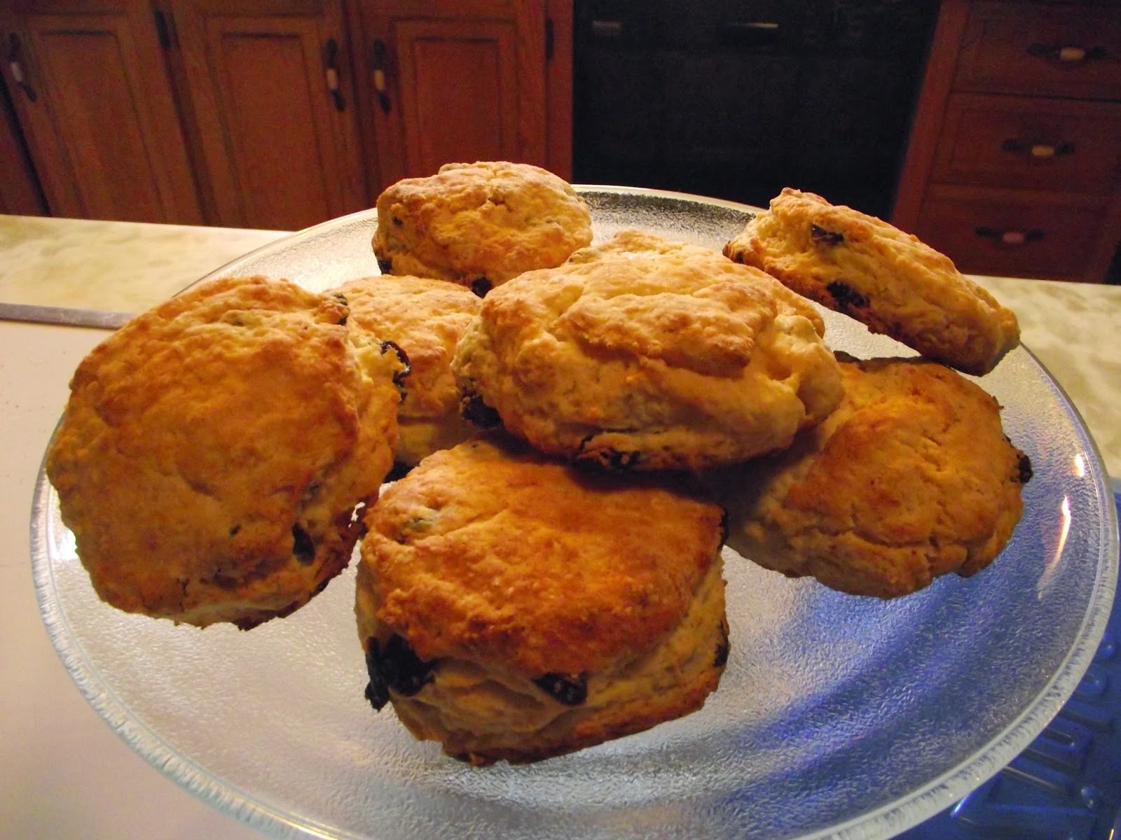 Canadian Needle Nana Yarn Harlot's Scarf and Rock Recipes Homemade