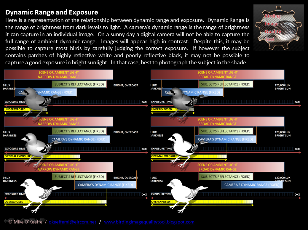 Birding Image Quality Tool Forensics High Dynamic Range Imaging (HDRI)