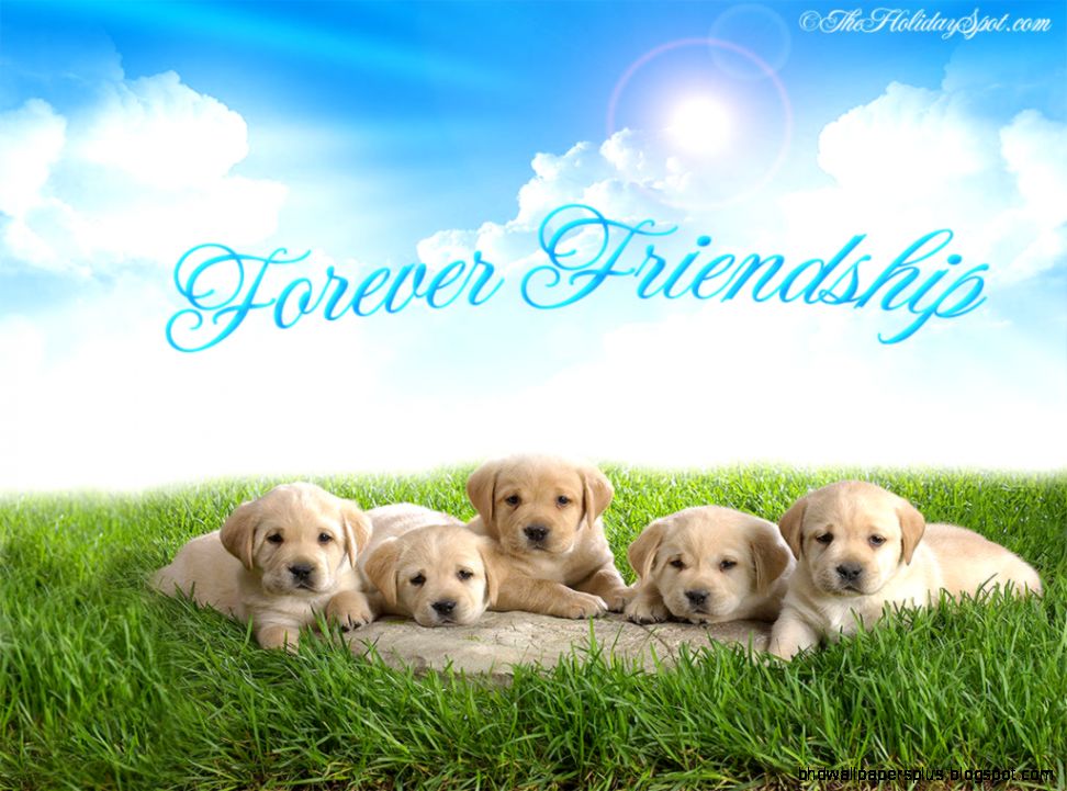 Friendship Day wallpapers free Friendship Day wallpapers free