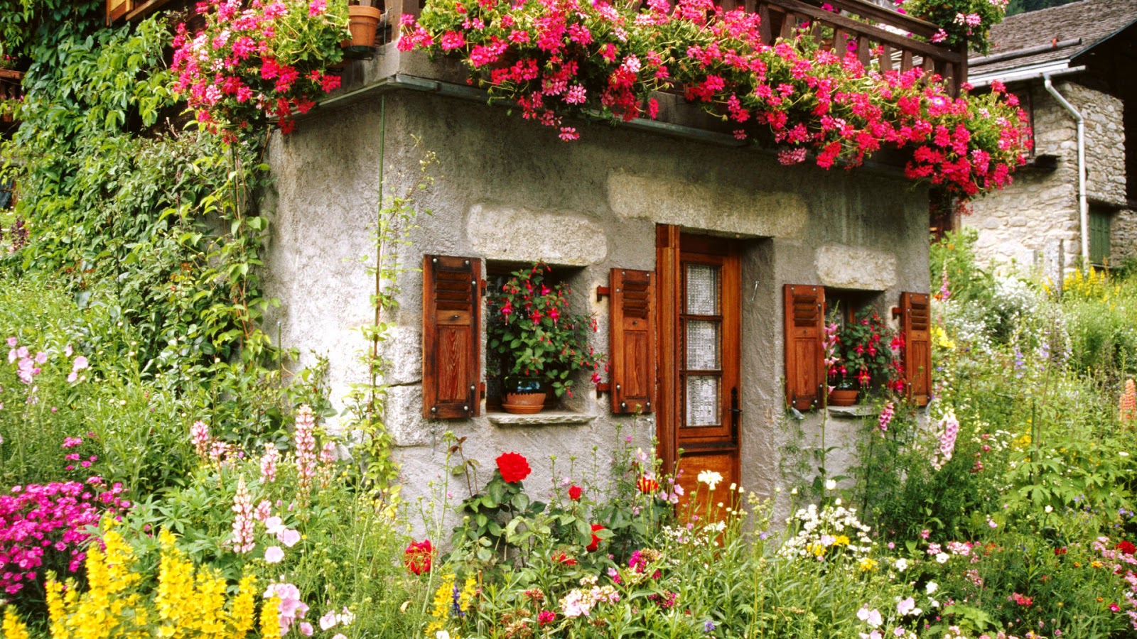 3D Flower Garden Wallpaper|http://refreshrose.blogspot.com/