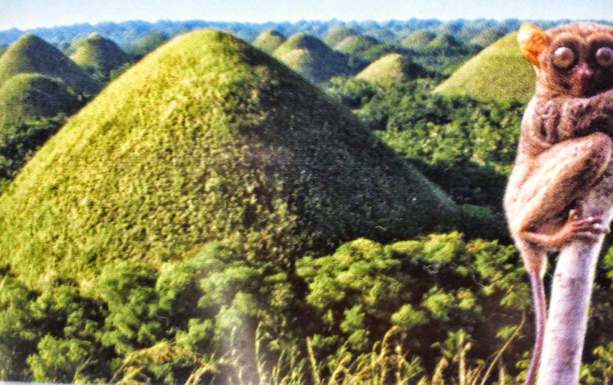 My Metro Manila Photo Blog THE CHOCOLATE HILLS & VARIOUS TOURIST