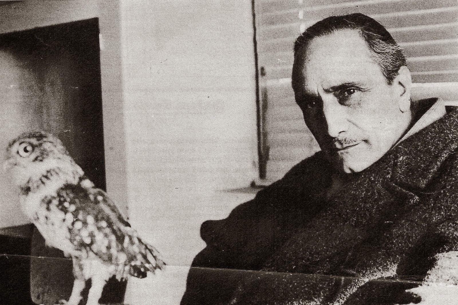 Salvatore Lo Leggio Landolfi traduttore e il mistero di Cechov (Fabio