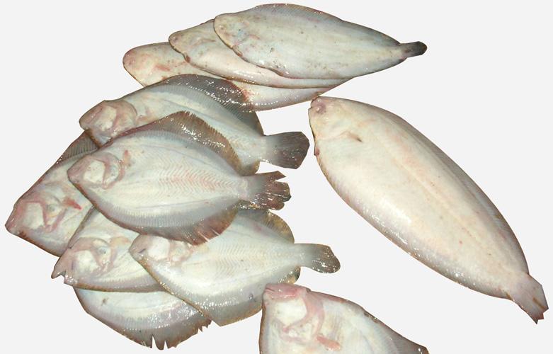Dil Balığı Nasıl Temizlenir? En iyi Balık Yemekleri tarifi