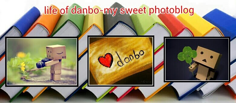 life of danbo - my sweet photo blog