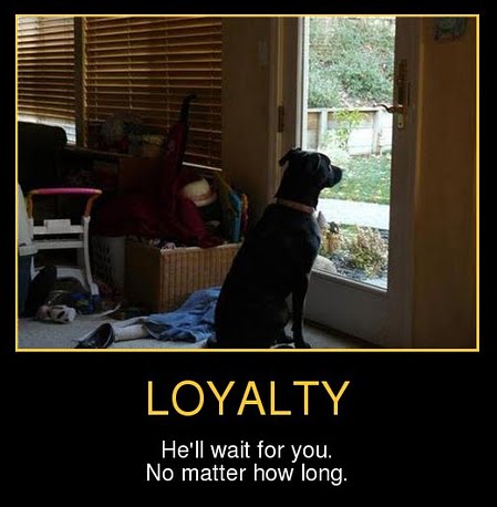 Dog Best Friend