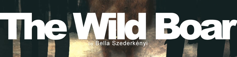 The Wild Boar by Szederkényi Bella