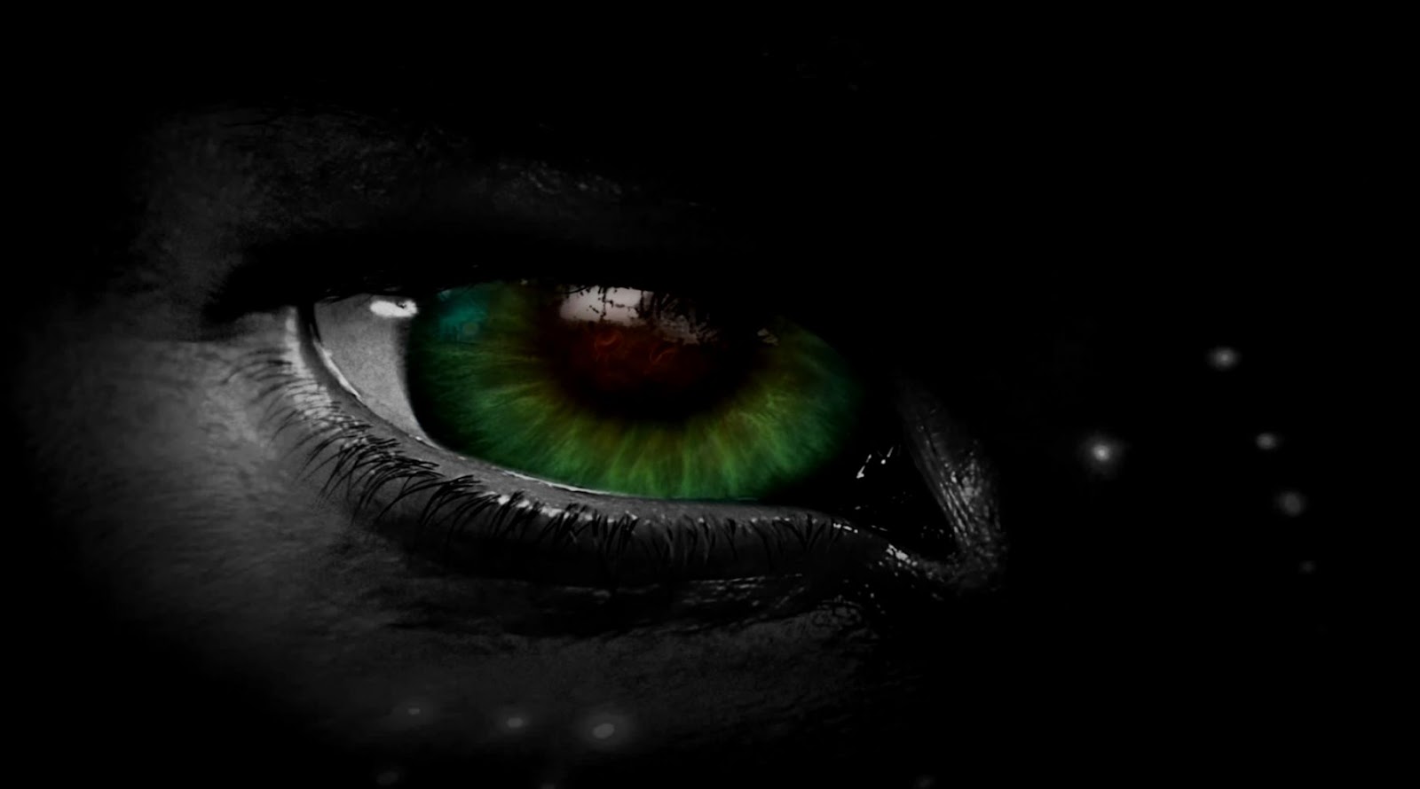 Wallpaper for Windows 7 DreamScene Wallpaper for Windows 7 DreamScene