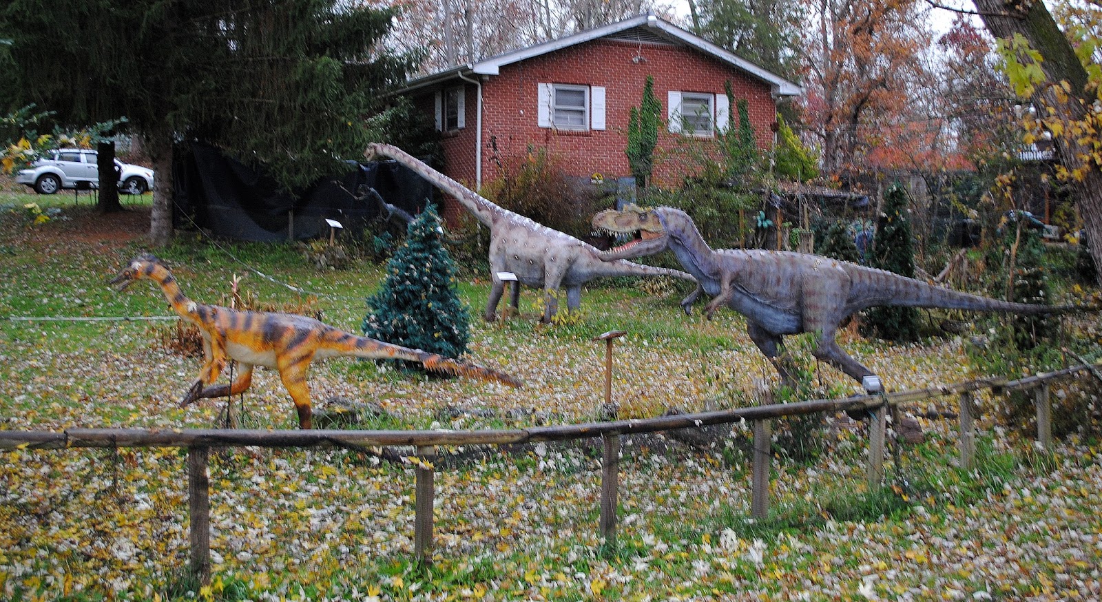 Image result for dinosaurs at backyard