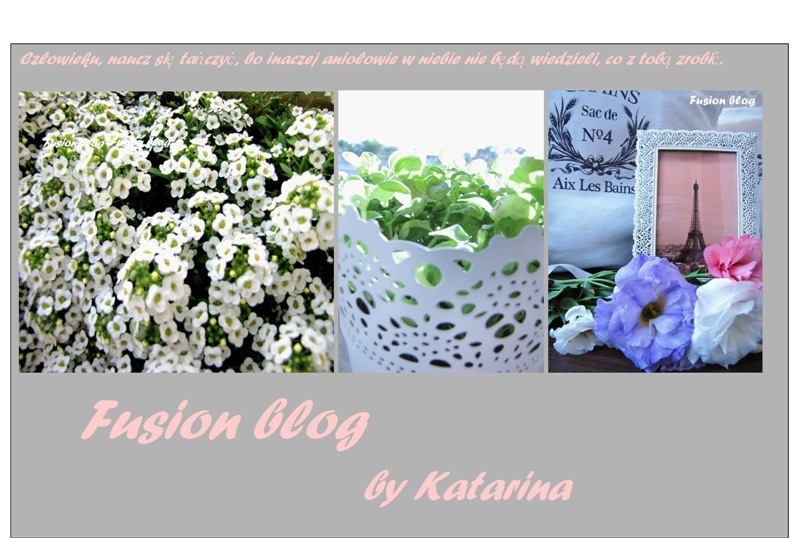 Fusion blog by katarina