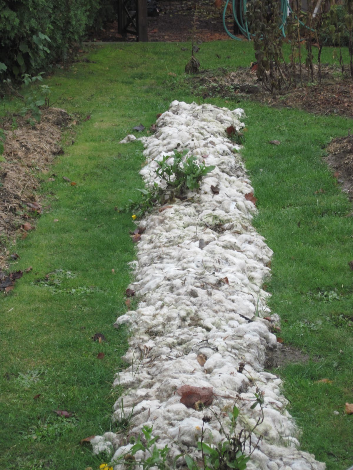 Avianna's Adventures