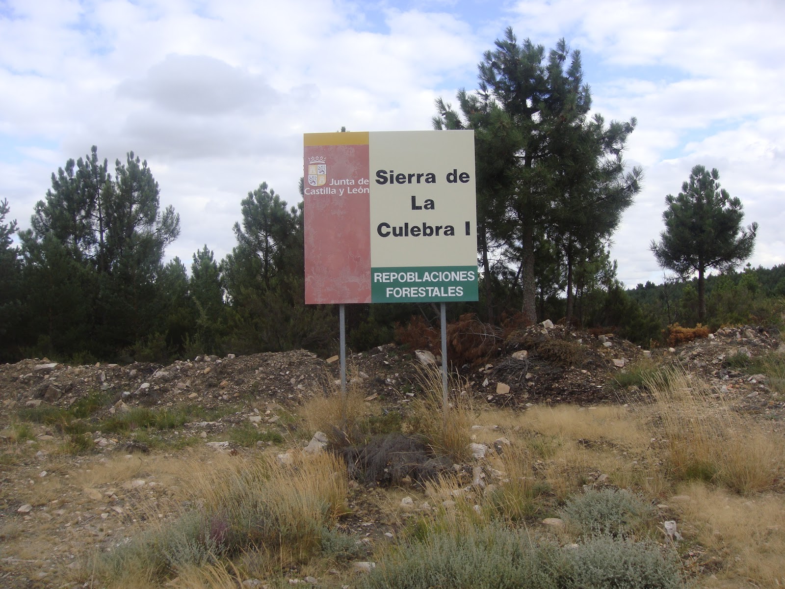 Descubriendo Aliste Miño Cuevo