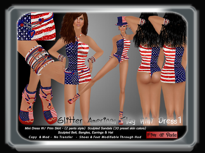 American-flag-vendor-Mini1.png