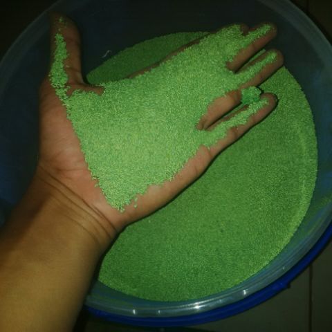 Jual Benih Rumput Lapang Sepak Bola Jual Benih Rumput Taman Supplier Benih Biji Rumput Pusat Penjualan Benih Rumput Di Indonesia Agen Benih Rumput