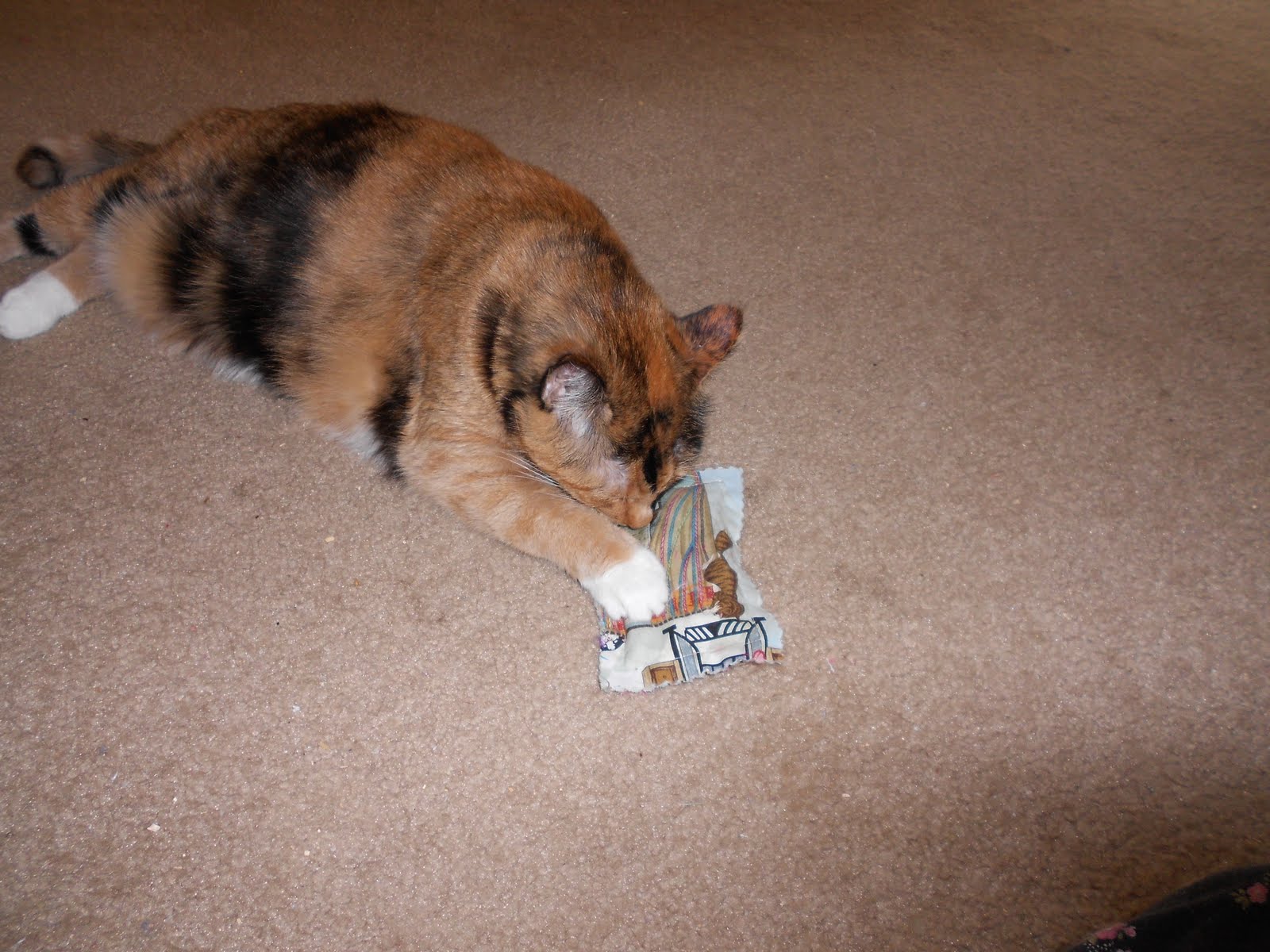 toy trap