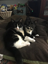 Rosie (left) & Oliver (right)