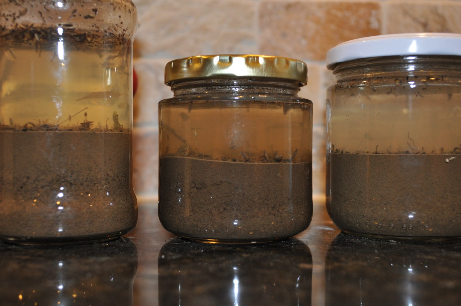 The Garden State Soil Testing Results!