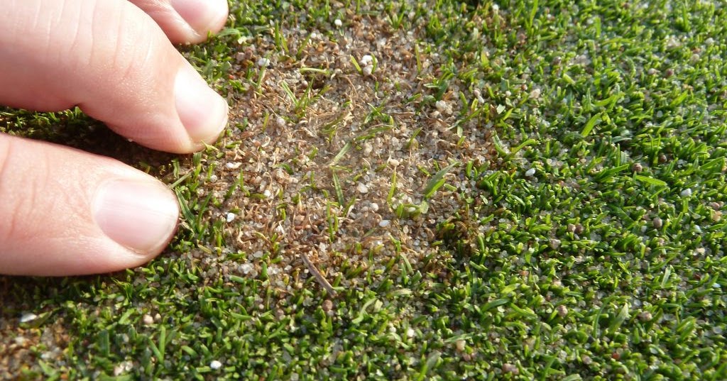 iaTURF FIRST REPORT OF PINK SNOW MOLD IN THE REGION