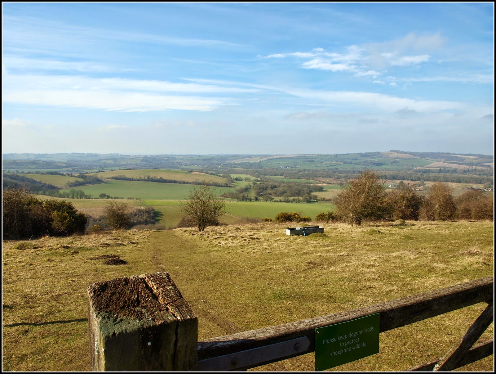 Mark's Veg Plot Old Winchester Hill