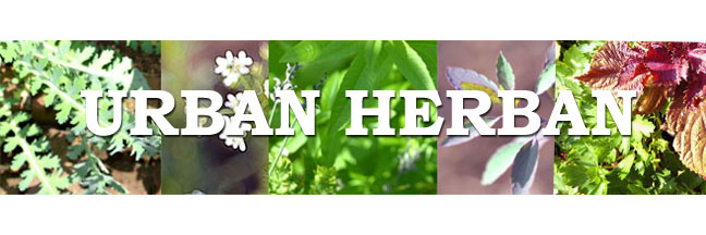 The Urban Herban