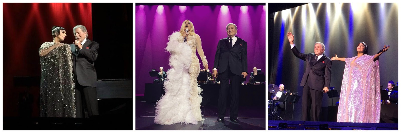 cheek to cheek tour