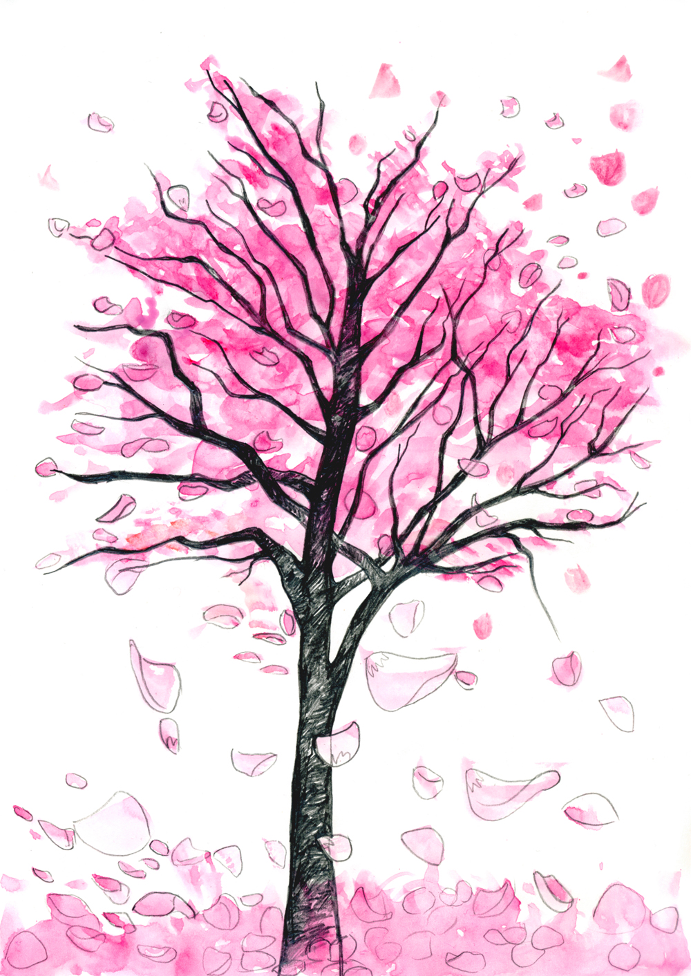 Cherry Blossoms Sketch