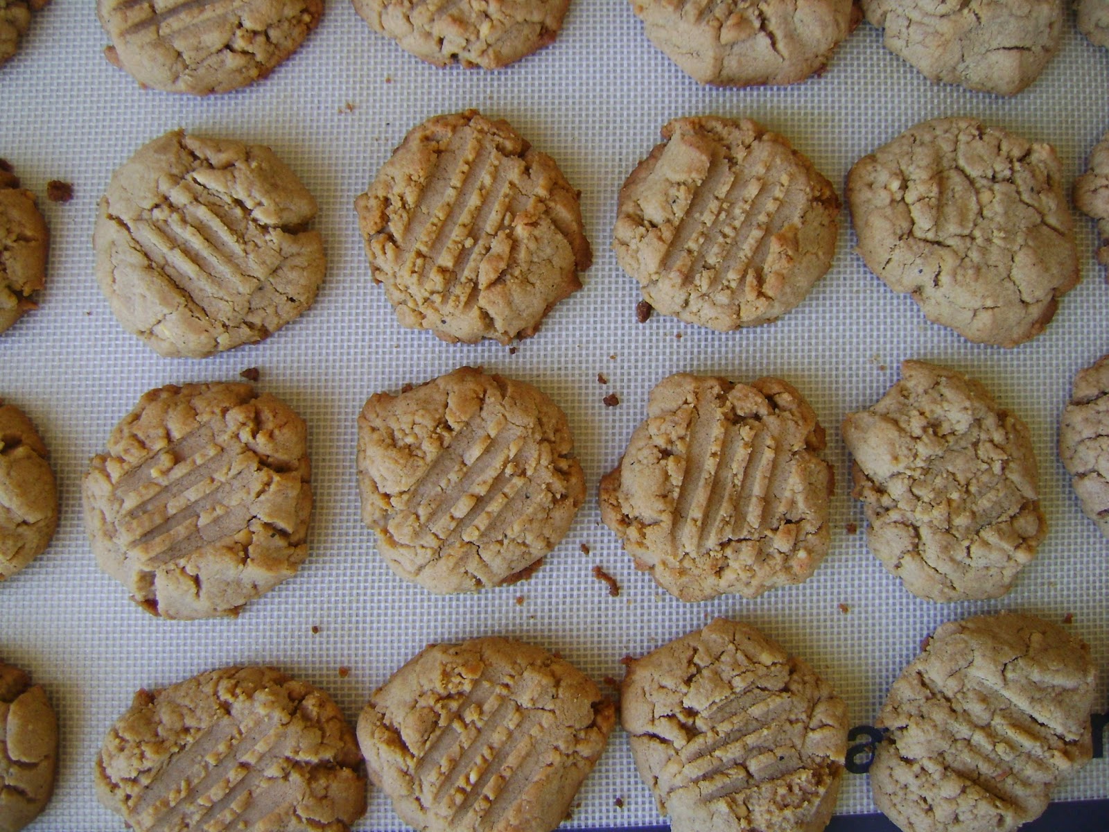 Garam Masala Peanut Butter Cookies mysavoryspoon