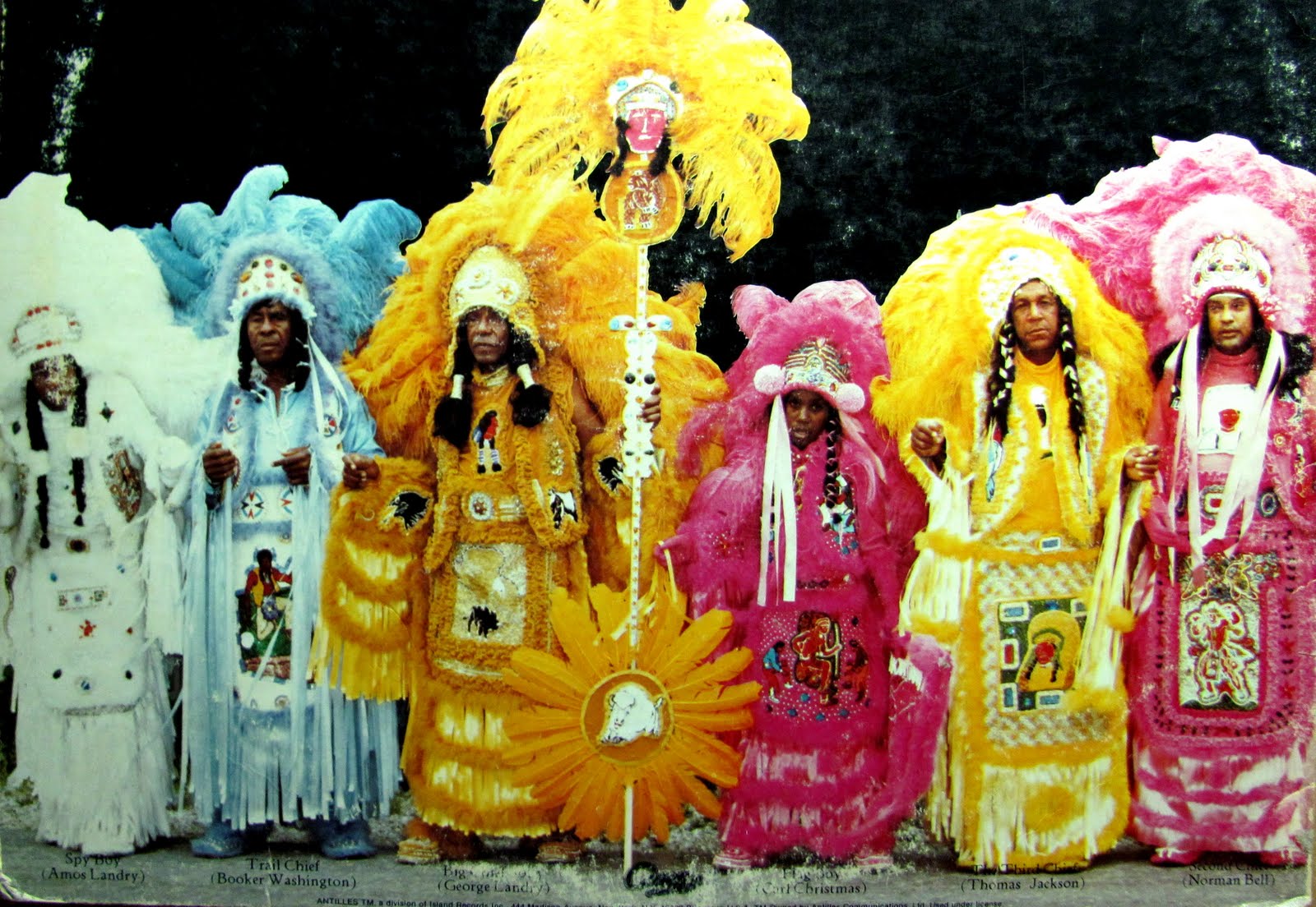 wild magnolias mardi gras indians